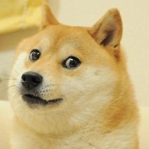 寵物批發找阿誠