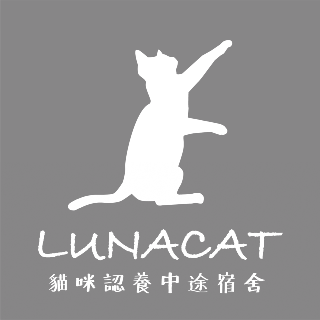 Lunacat貓咪認養中途宿舍