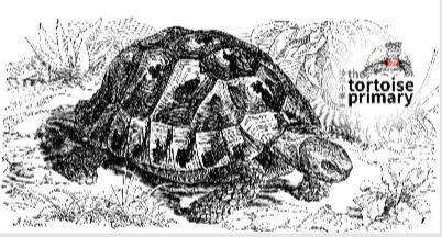 陸龜小學堂本舖