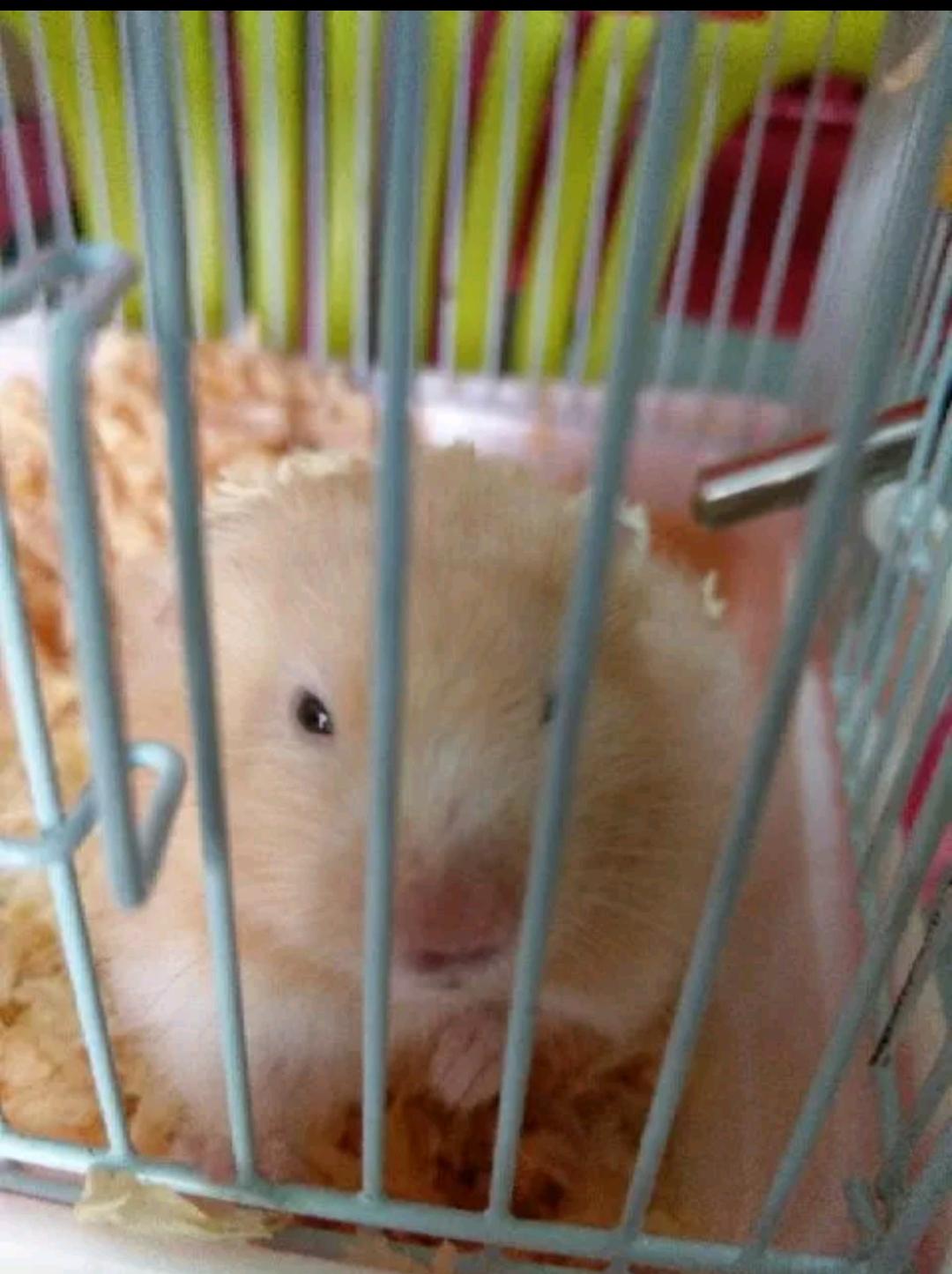 南西雜貨鋪