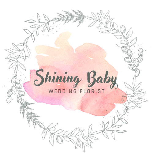 Shining baby閃亮寶貝