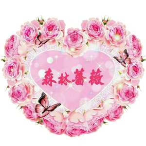 森林薔薇-婕樂纖JEROSSE官方授權小綠纖纖飲纖飄錠肽纖飲纖酵宿小粉爆纖錠紫纖飲水光錠婕肌零雪聚露黑魔可可美神契約