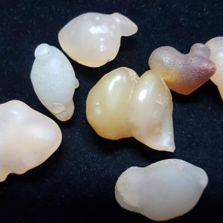 🌟Coral珊寶手作