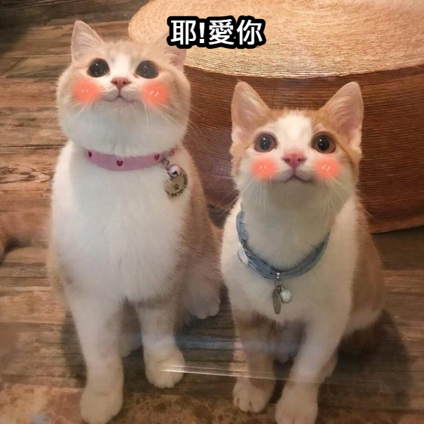 滾滾集－做您最安心的夥伴