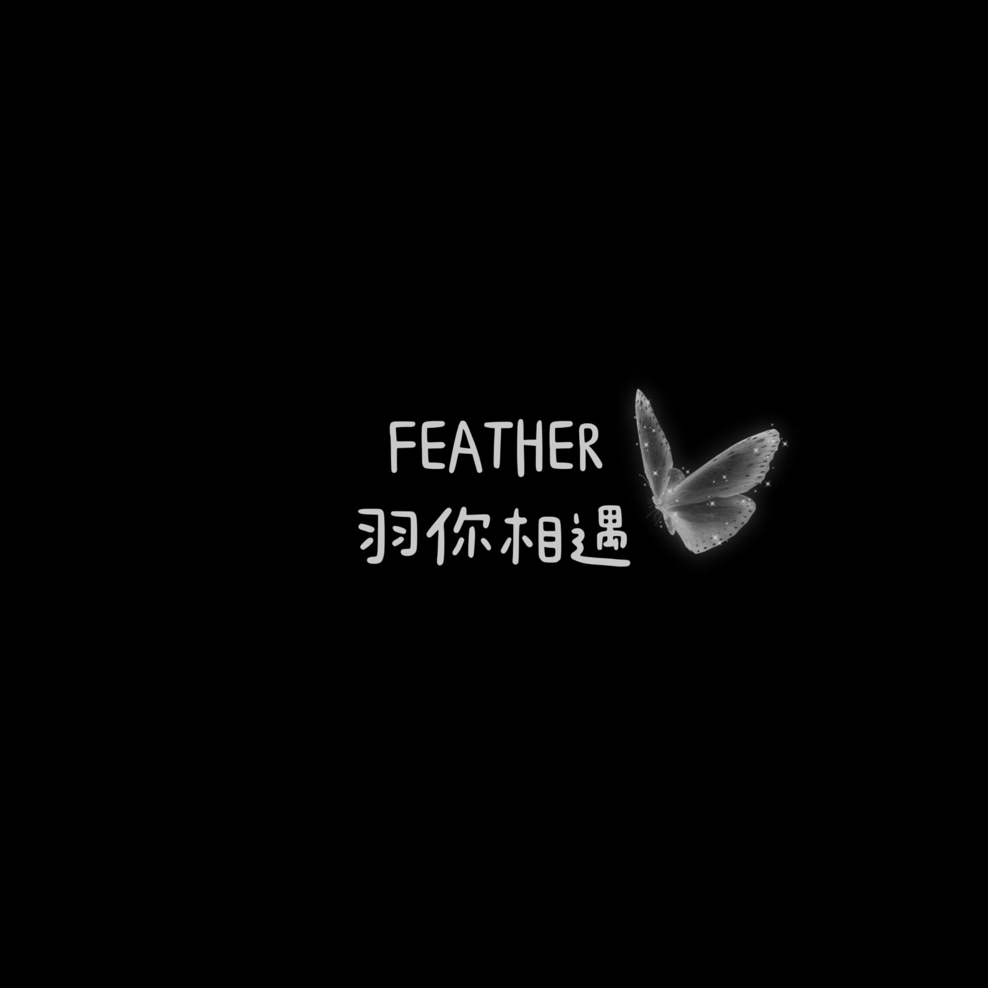 FEATHER羽你相遇