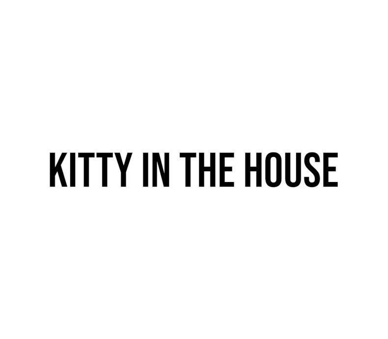 Kitty in the house