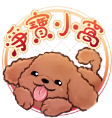 淨寶小窩-批發 團購 批貨 生活用品 日常用品 百貨 實用小物
