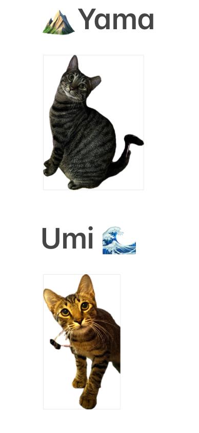 山與海Yama&Umi 