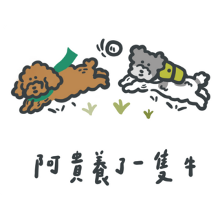 阿貴養了一隻牛