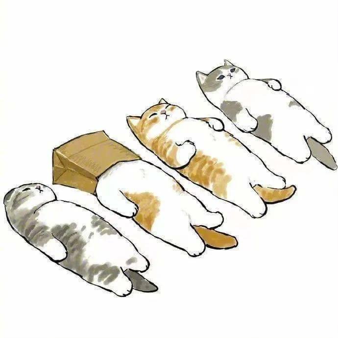 Leo出清商店