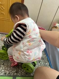 Xinylin