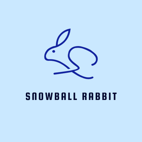 Snowball Rabbit