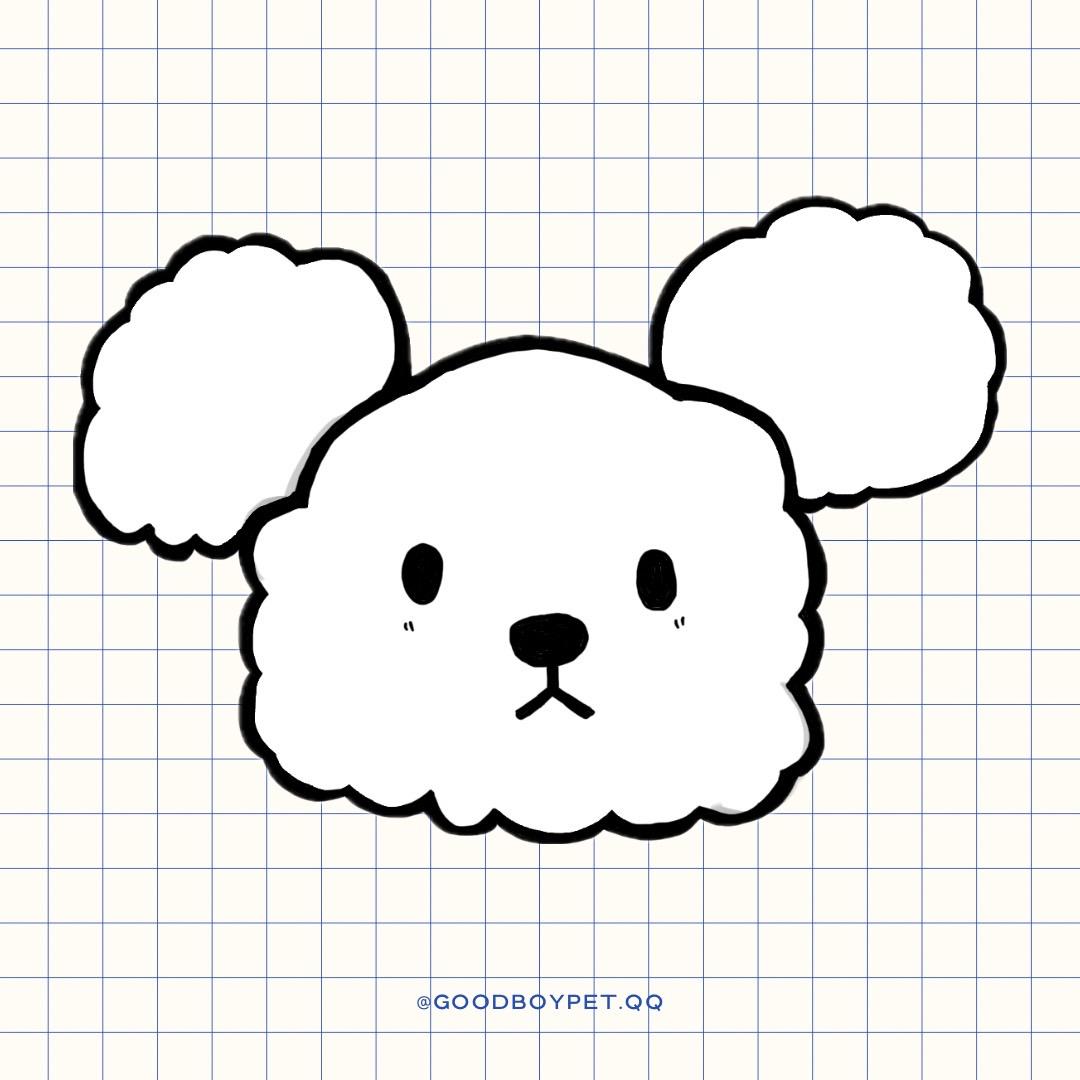 巧乖寵物 GOOD BOY PET