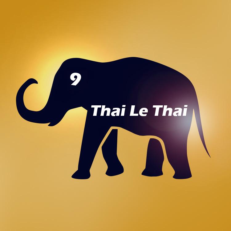 Thai Le Thai 太樂泰