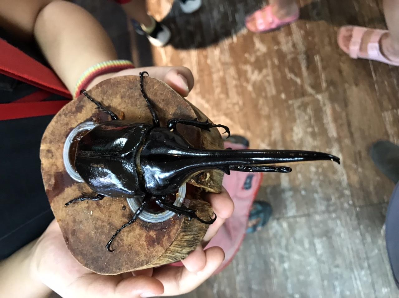 胖子哥哥的小小舖