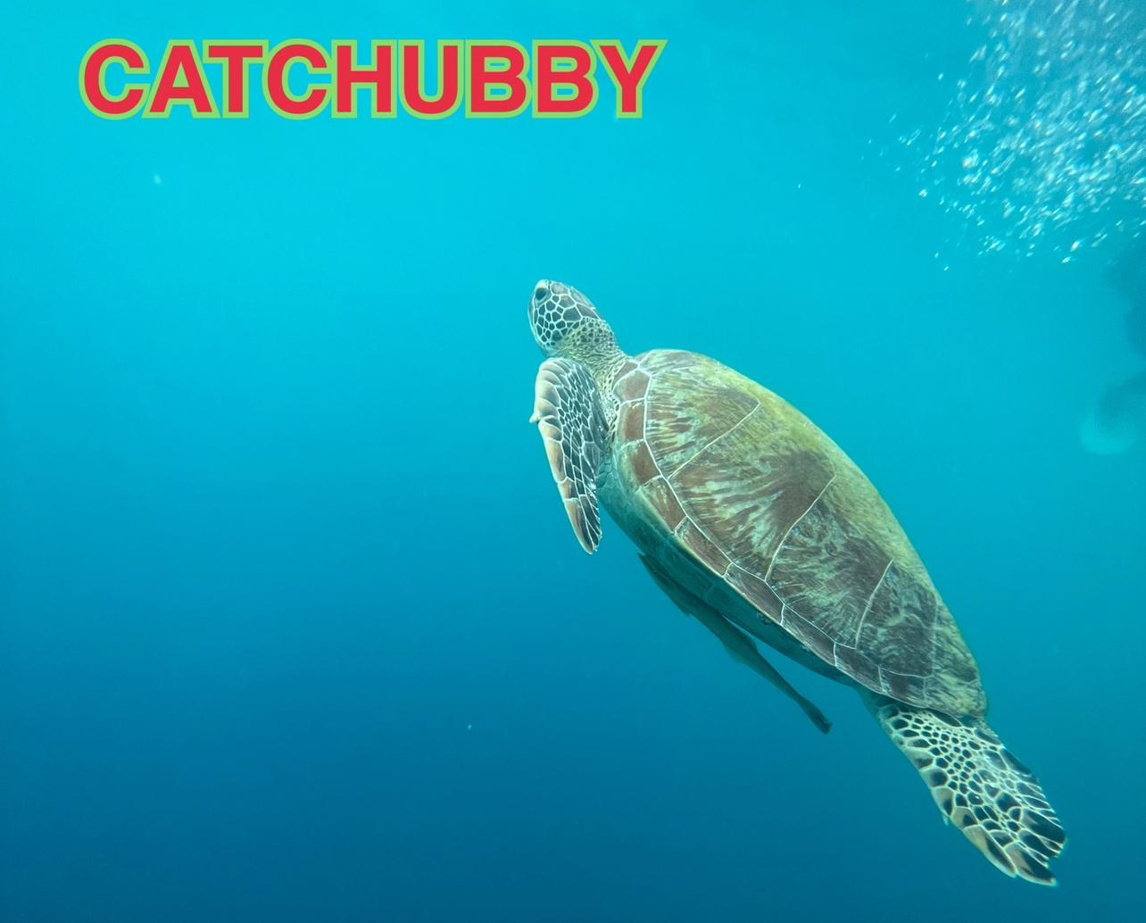 CATCHUBBY歐美日韓外貿童裝 生活用品 男童 女童 女裝