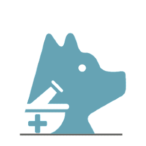 Bingo藥師網路商城