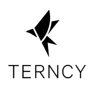 Terncy Taiwan 小燕科技