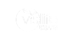 特活綠 VisLife 官方旗鑑店