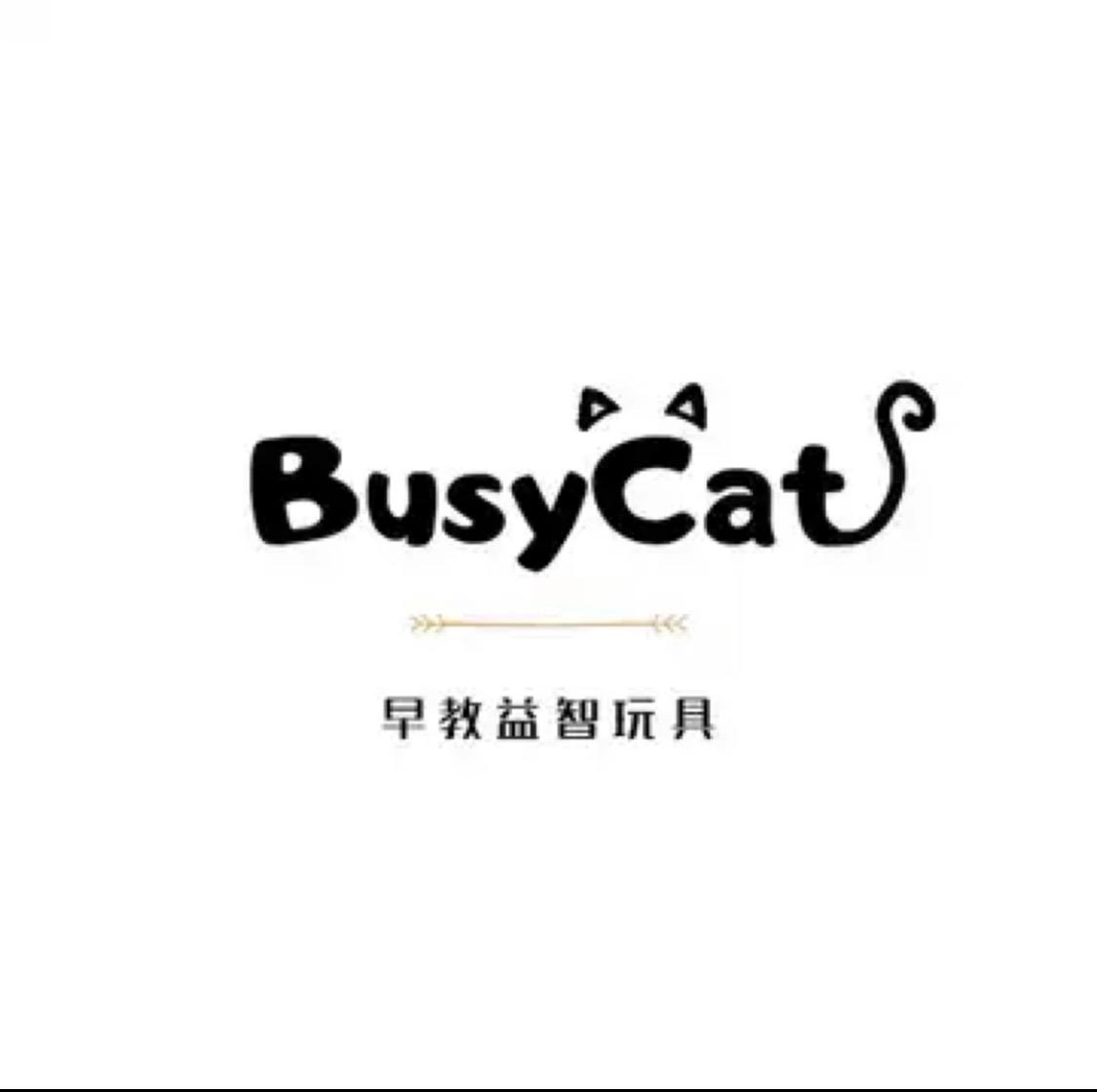 busycat