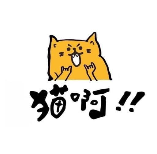 猫啊!!