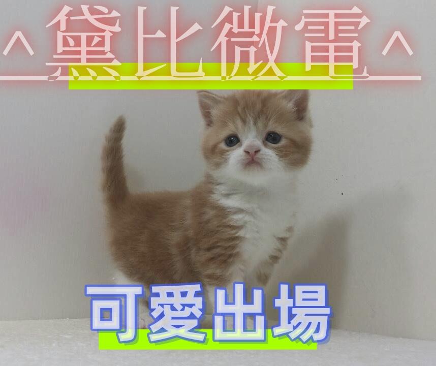 🎈濂安防🎈歡迎選購