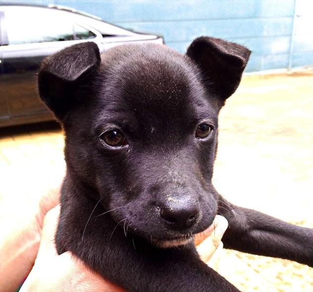 Y先生食品雜貨小舖