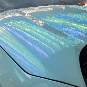 祥羚選品669evhut