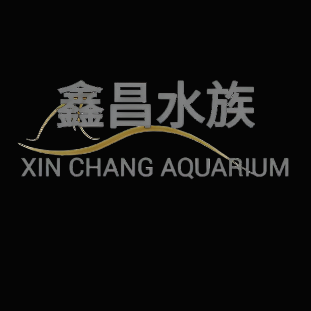 鑫昌水族（觀賞蝦）米蝦