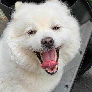 樂高百寶袋-LEGO零件專賣