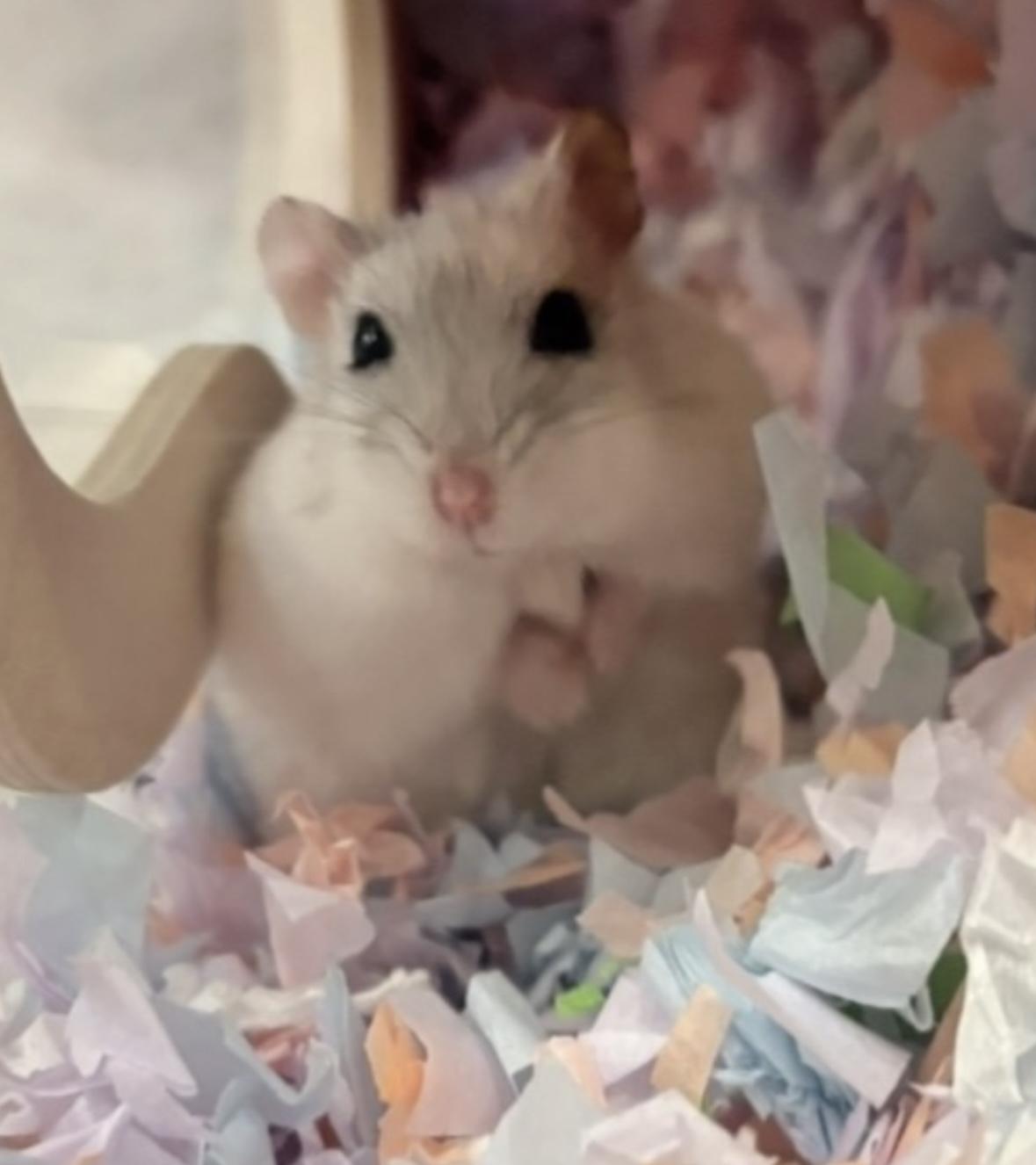 斷捨離全新物品小賣場