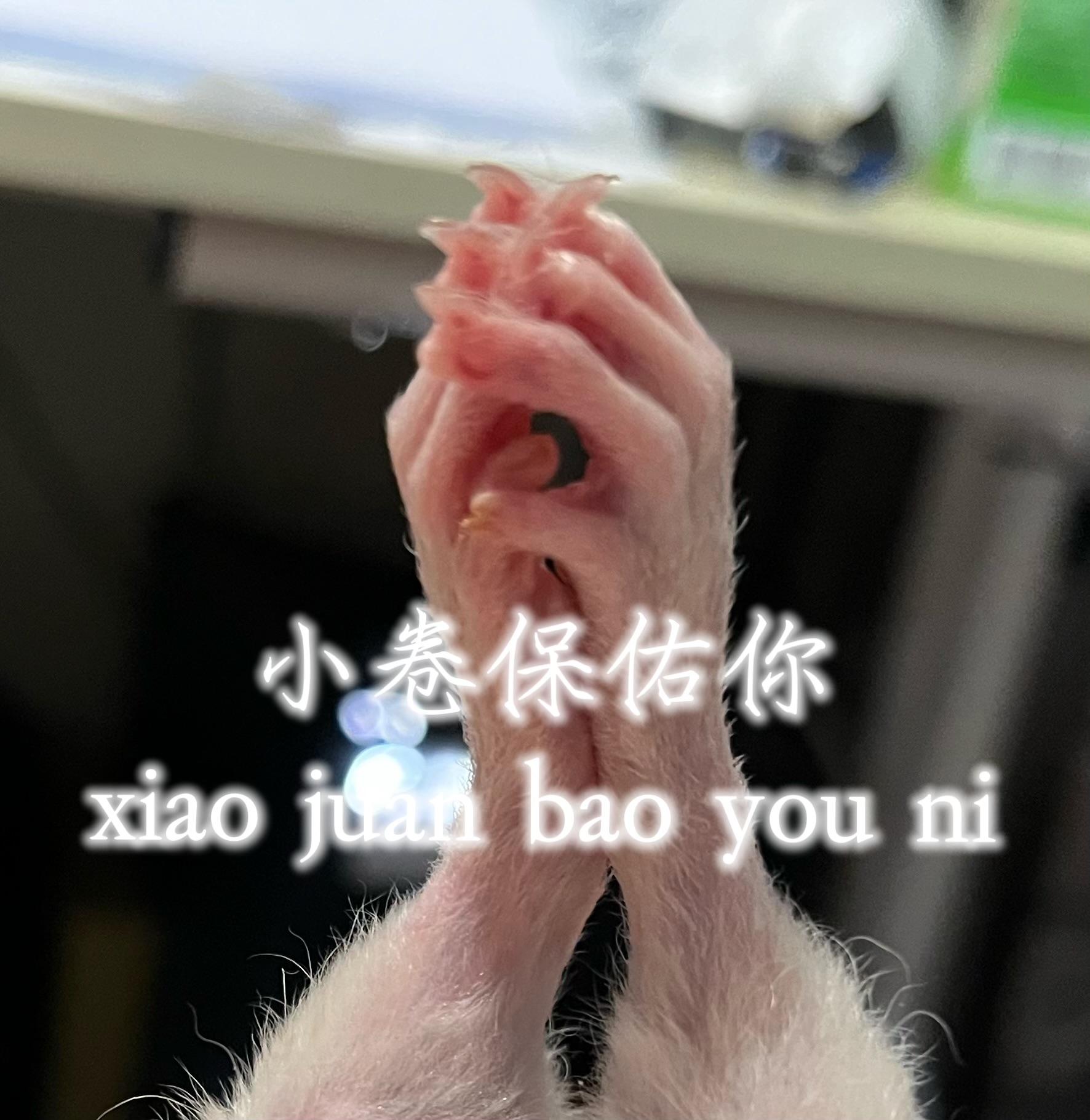 鈣營養杜比亞專賣