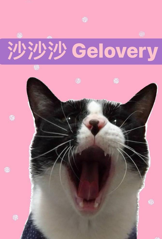 沙沙沙 Gelovery