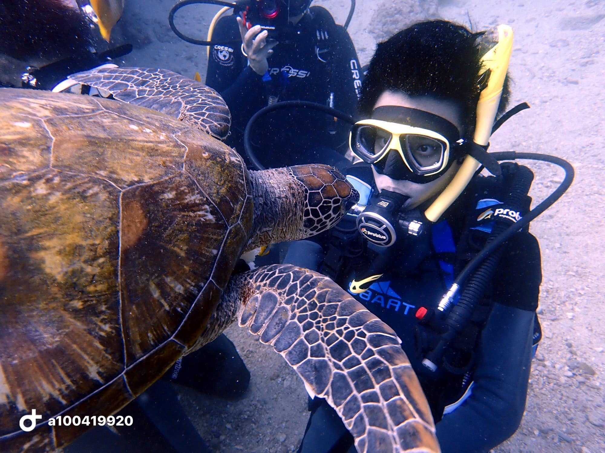 小琉球小海龜水上活動