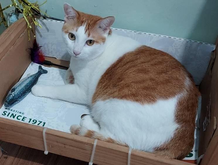 咪咪媽媽好市多