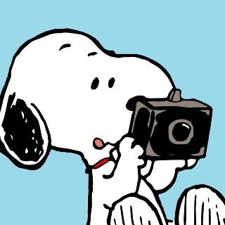 茶裡布朗 （蝦皮茶裡布朗2）