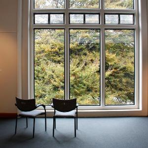 油菜花籽的小店