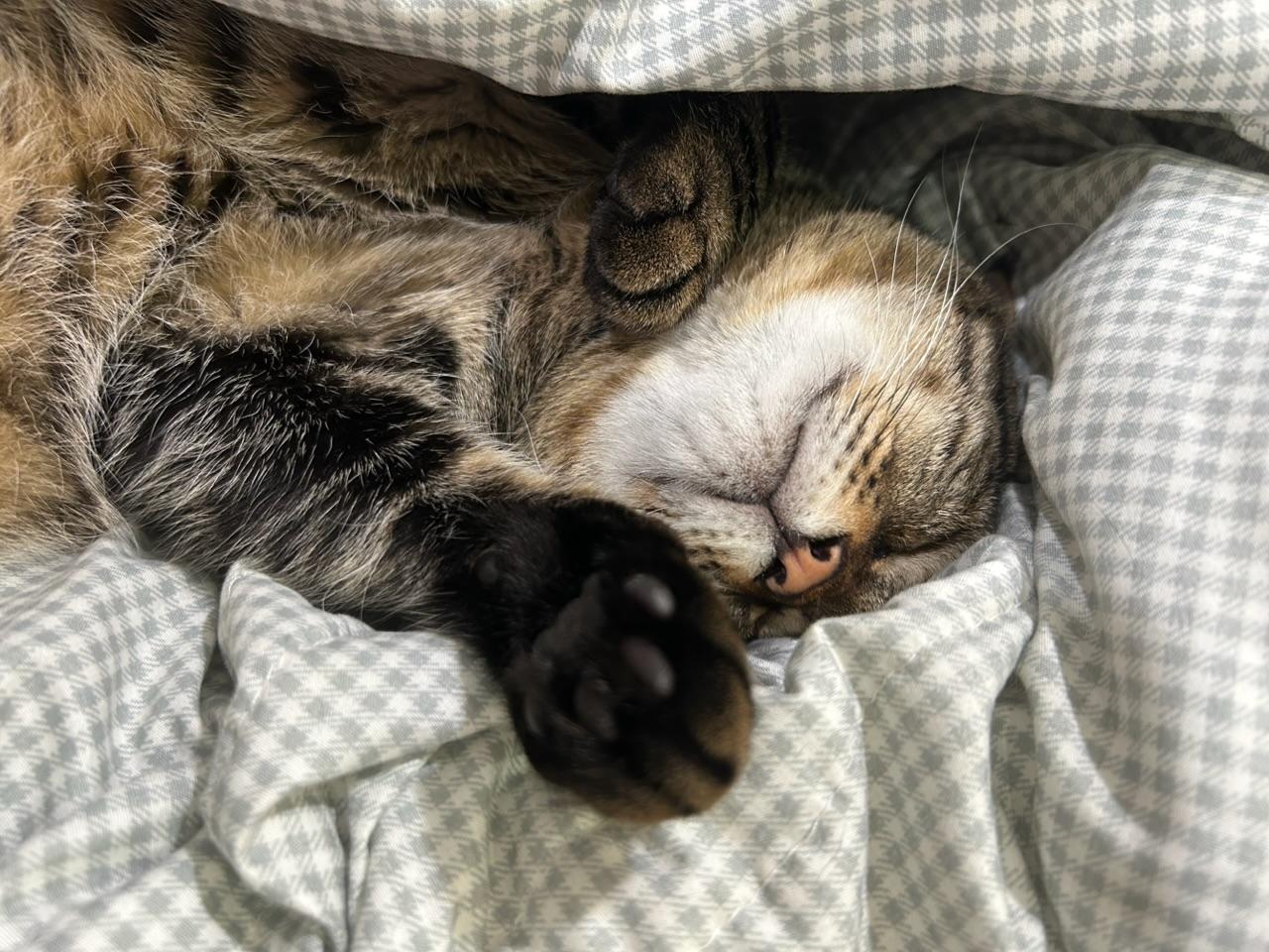 晴晴❤️yOUng❤️美屋