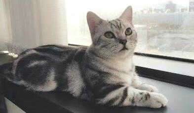 小步生活創意館