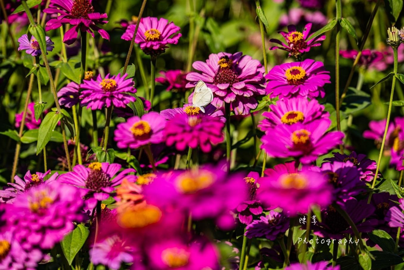 彩視攝影光學 流行周邊 運動周邊