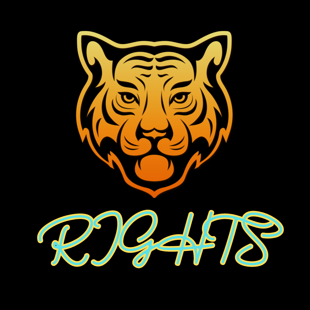 麒隆汽車美容用品