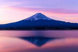 安柏超愛買 ~ 17買買買買買