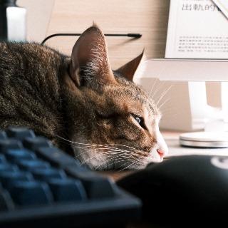 Read Store 小熊商店