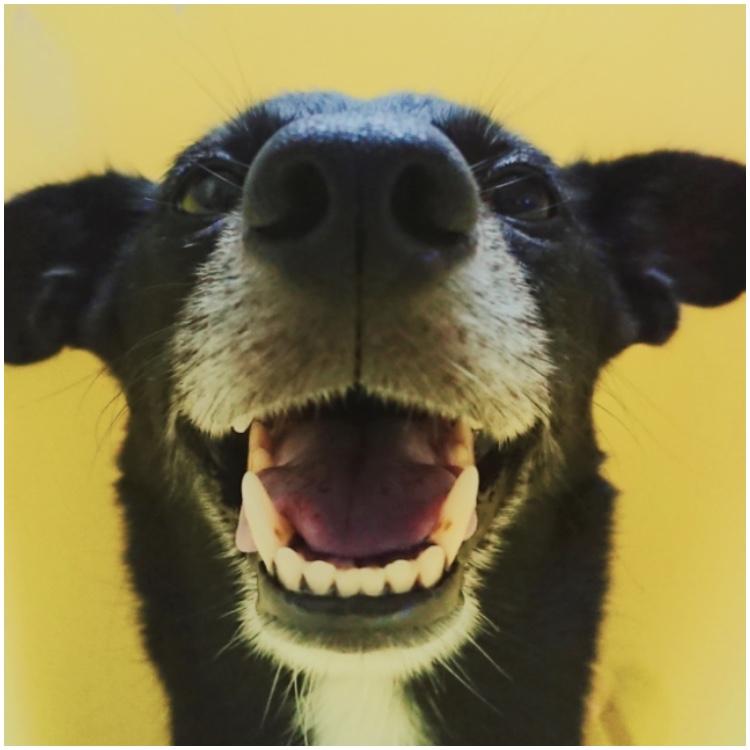 MUUUUUCHING 募集中工作室