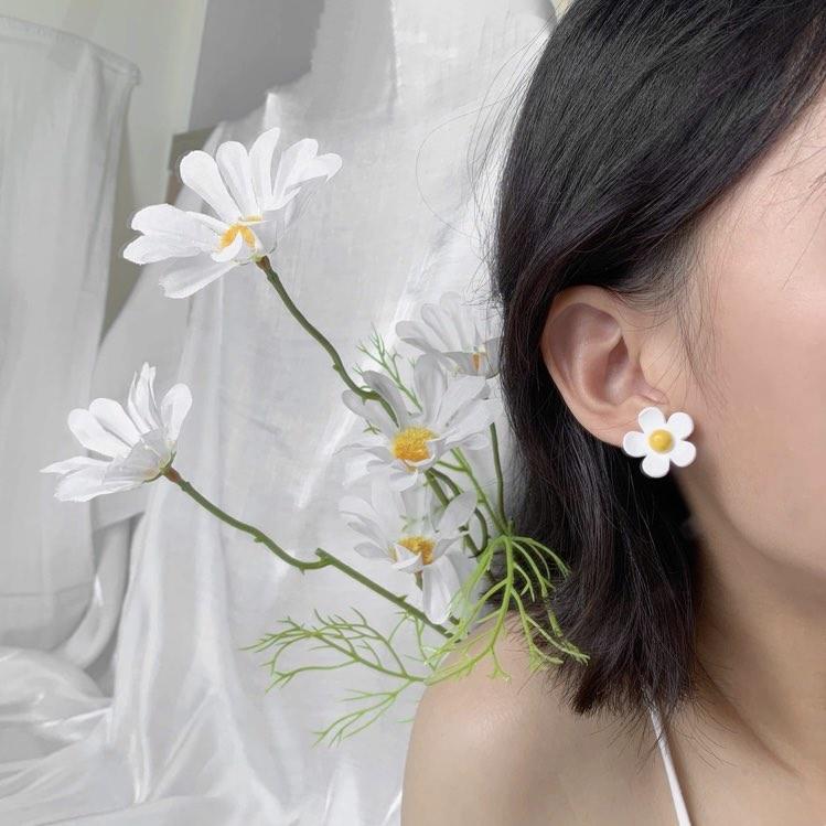 春天老瓜 𝗦𝗽𝗿𝗶𝗻𝗚𝘂𝗮