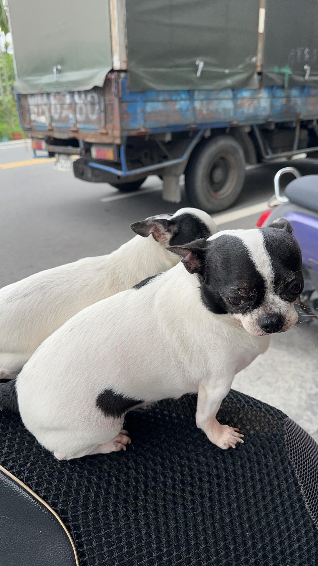 雜七雜八隨便賣