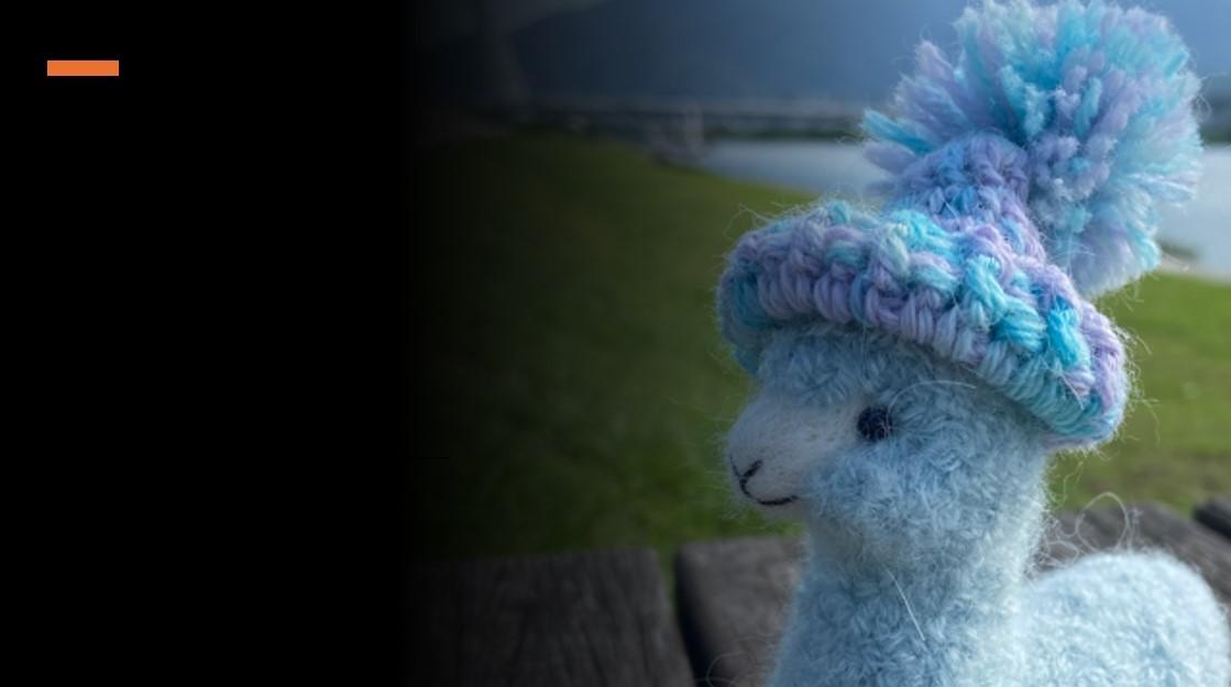 日日好日•Good Days