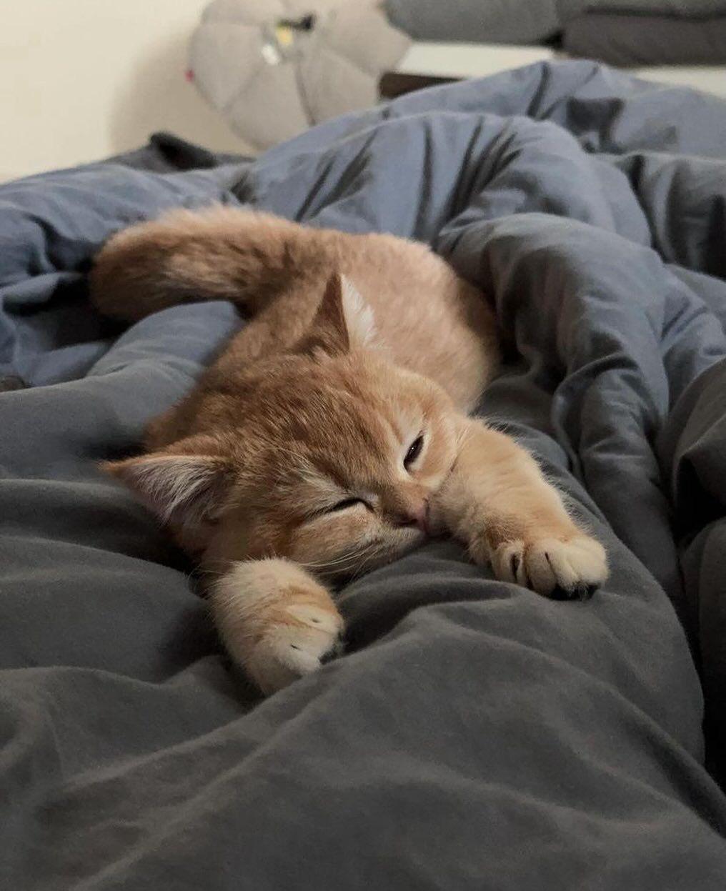 8tysix 美妝｜保養｜生活選物店