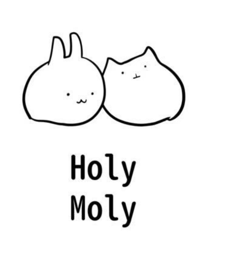 HolyMoly29