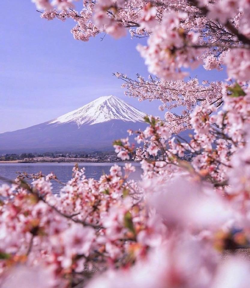 出賣大日本-不議價中心